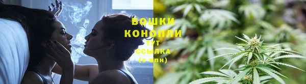 ПСИЛОЦИБИНОВЫЕ ГРИБЫ Аркадак