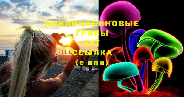 ПСИЛОЦИБИНОВЫЕ ГРИБЫ Аркадак