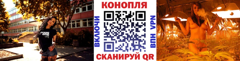 Шишки марихуана Bruce Banner  Майский 
